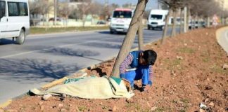 Menino socorreu cãozinho atropelado e cuidou dele até a chegada do resgate