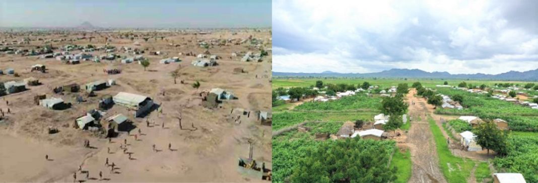 Os refugiados aproveitaram seu tempo e transformaram um deserto em uma bela floresta.