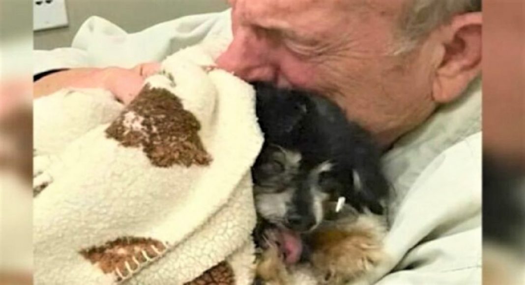 Idoso abraça calorosamente seu cãozinho que faleceu e foi sua companhia por 16 anos