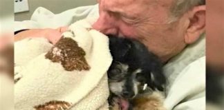 Idoso abraça calorosamente seu cãozinho que faleceu e foi sua companhia por 16 anos