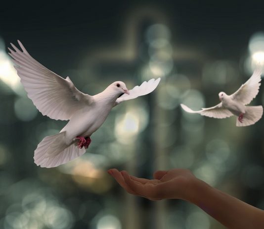 Deus ouviu sua oração e vai agir em seu favor