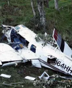 Após um acidente de avião, crianças perdidas criaram um abrigo para sobreviver utilizando tesouras e lâminas. sensivel-mente.com - Após um acidente de avião, crianças perdidas criaram um abrigo para sobreviver utilizando tesouras e lâminas.