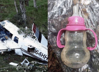 Após um acidente de avião, crianças perdidas criaram um abrigo para sobreviver utilizando tesouras e lâminas.