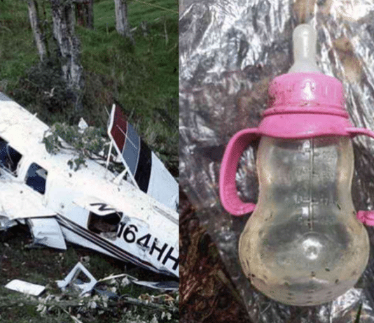 Após um acidente de avião, crianças perdidas criaram um abrigo para sobreviver utilizando tesouras e lâminas.