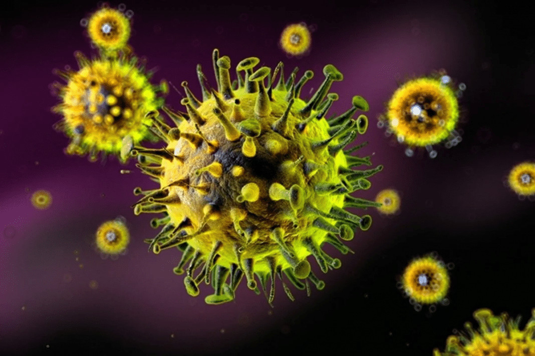 Nova variante da gripe descoberta na China acende alerta mundial: vírus mostra sinais de adaptação ao corpo humano