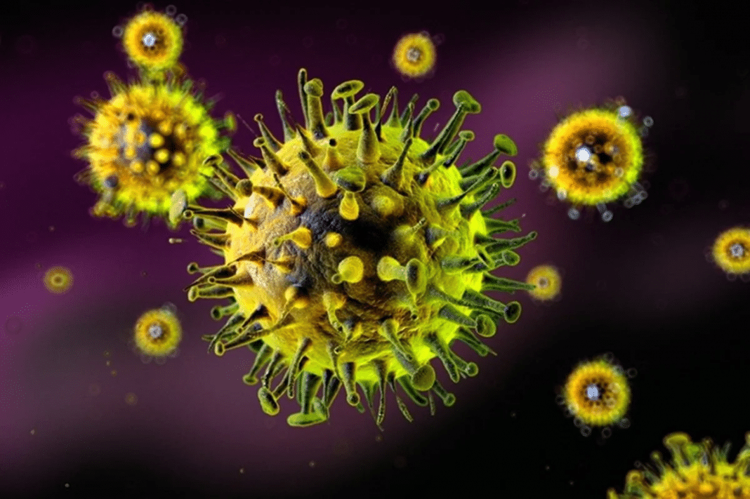 Nova variante da gripe descoberta na China acende alerta mundial: vírus mostra sinais de adaptação ao corpo humano