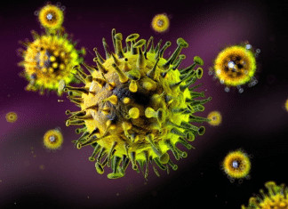 Nova variante da gripe descoberta na China acende alerta mundial: vírus mostra sinais de adaptação ao corpo humano