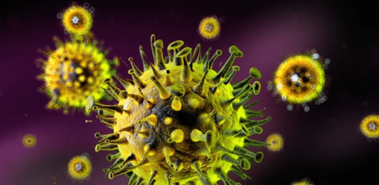 Nova variante da gripe descoberta na China acende alerta mundial: vírus mostra sinais de adaptação ao corpo humano