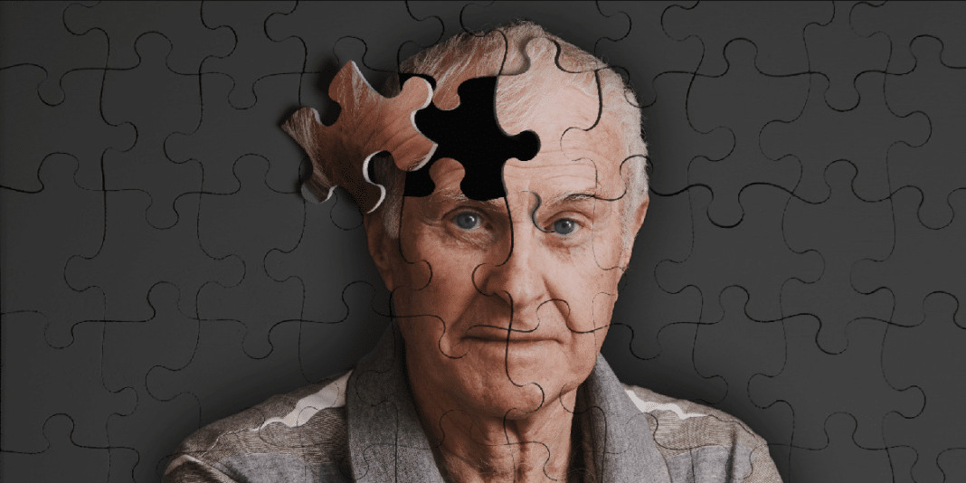 Descoberta brasileira! Peptídeo de marimbondo pode virar arma poderosa contra o Alzheimer