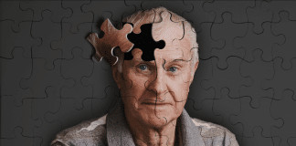 Descoberta brasileira! Peptídeo de marimbondo pode virar arma poderosa contra o Alzheimer