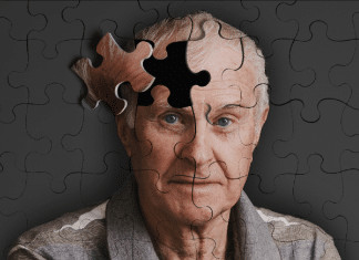 Descoberta brasileira! Peptídeo de marimbondo pode virar arma poderosa contra o Alzheimer