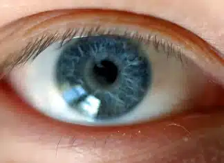 Todas as pessoas de olhos azuis vêm de um Único Humano, Diz a Ciência