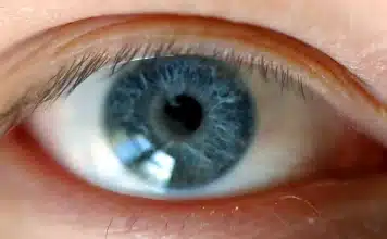 sensivel-mente.com - In&iacute;cio