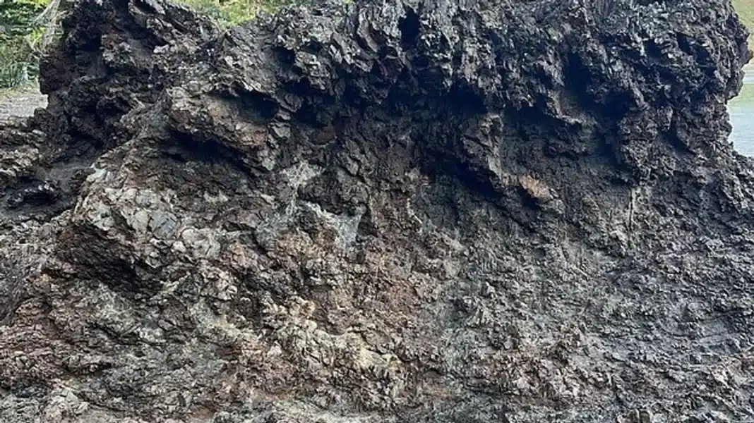 Desafio Viral: Acha a menina? nem quem tem “Visão de Sniper” consegue!