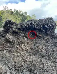 sensivel-mente.com - Desafio Viral: Acha a menina? nem quem tem “Visão de Sniper” consegue!