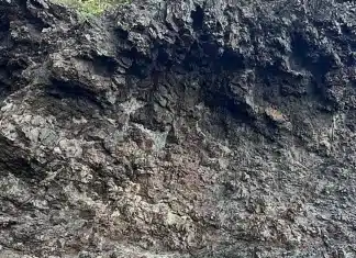 Desafio Viral: Acha a menina? nem quem tem “Visão de Sniper” consegue!