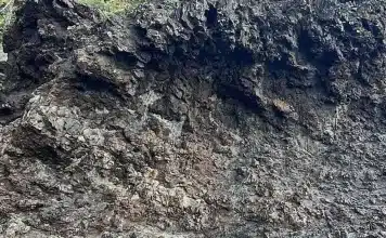 sensivel-mente.com - In&iacute;cio