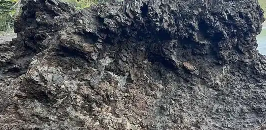 Desafio Viral: Acha a menina? nem quem tem “Visão de Sniper” consegue!