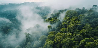 sensivel-mente.com - In&iacute;cio