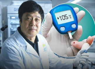 FIM DA INSULINA? CIENTISTAS CHINESES REVERTEM DIABETES COM CELULAS-TRONCO FIM DA INSULINA? CIENTISTAS CHINESES REVERTEM DIABETES COM CELULAS-TRONCO