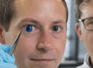 sensivel-mente.com - In&iacute;cio