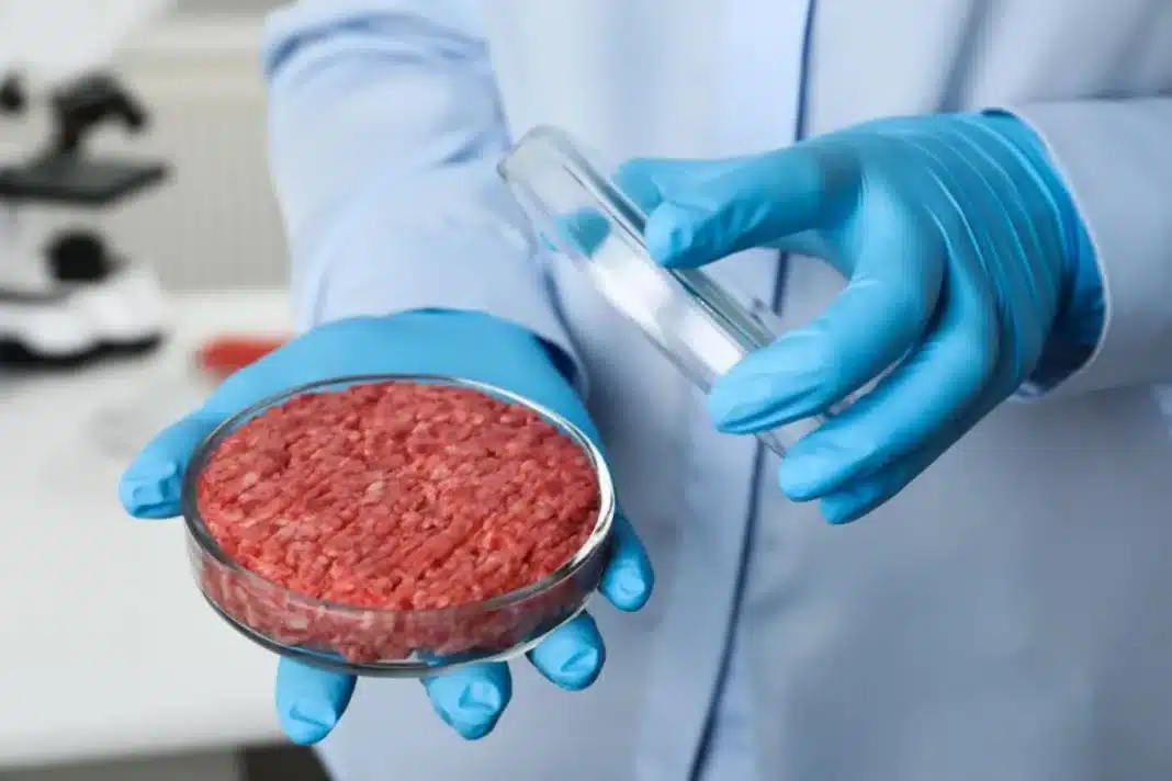 Itália e hungria proíbem carne de laboratório apoiada por bill gates — e mais países estão seguindo o mesmo caminho!