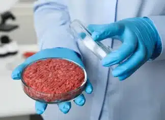 Itália e hungria proíbem carne de laboratório apoiada por bill gates — e mais países estão seguindo o mesmo caminho!