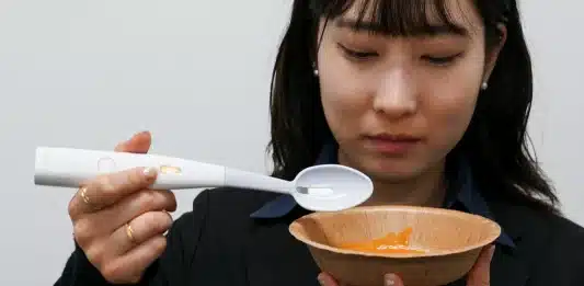 Parece mágica: Japão cria colher que deixa qualquer comida salgada sem usar sal