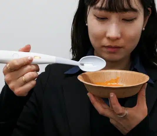 Parece mágica: Japão cria colher que deixa qualquer comida salgada sem usar sal
